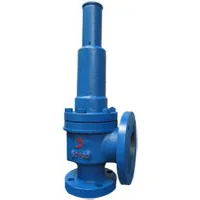 safety valve manufacturer